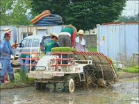 주간뉴스 - 2007년 20호