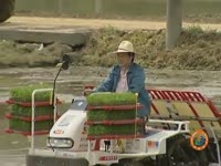 주간뉴스 - 2005년 16호