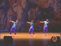 주간뉴스 - 2005년 19호