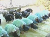 주간뉴스 - 2005년 31호