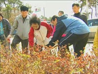 주간뉴스 - 2008년 13호