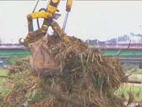 주간뉴스 - 2009년 29호