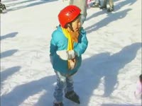 주간뉴스 - 2008년 43호