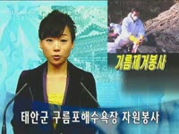 주간뉴스 - 2008년 5호