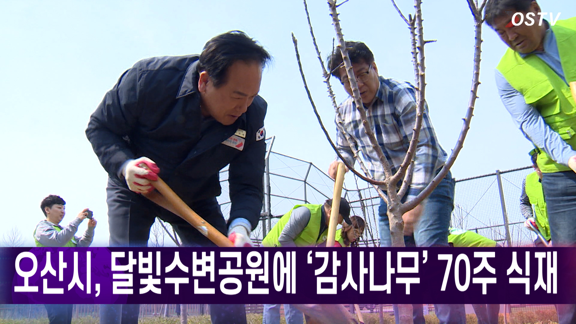 오산시, 달빛수변공원에 '감사나무' 70주 식재