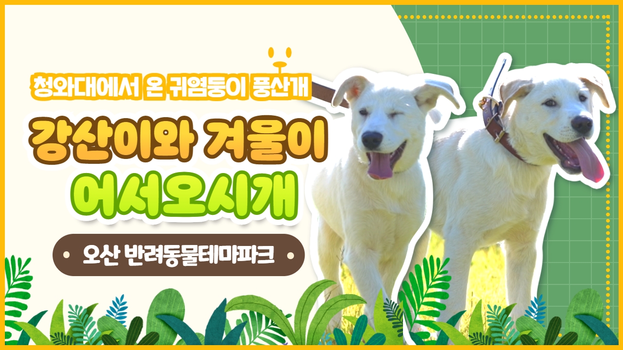 강산이와 겨울이 어서오시개