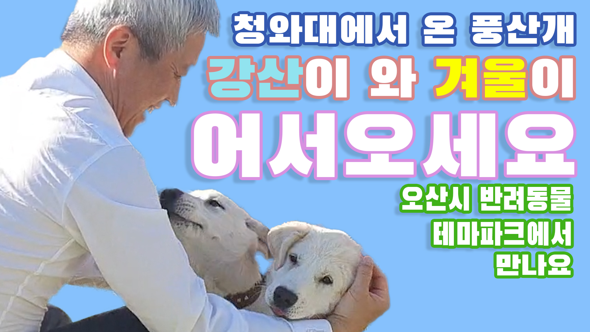 청와대에서 온 풍산개