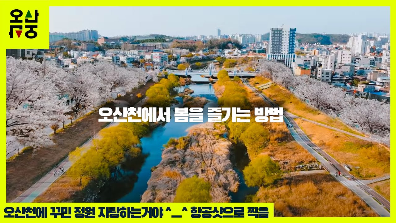 오산천에서 봄을 즐기는 방법