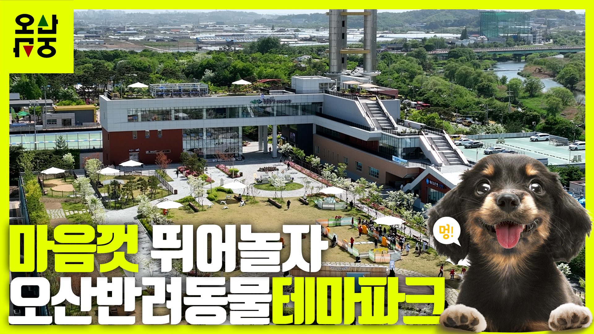 마음껏 뛰어놀자 오산반려동물테마파크